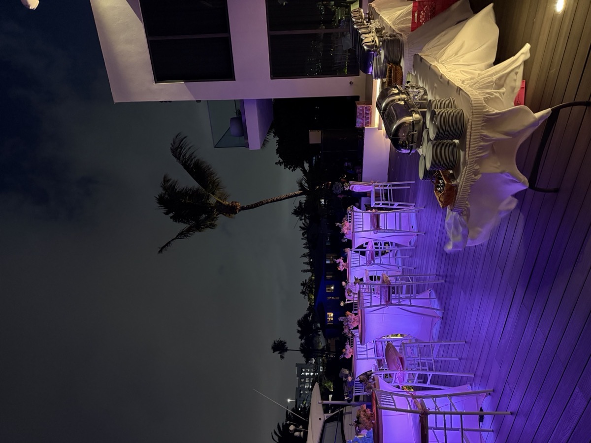 Outdoor event venue with purple LED lighting palm trees Miami